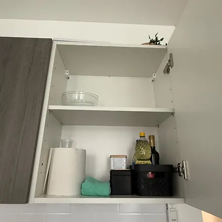 Petit Apartment